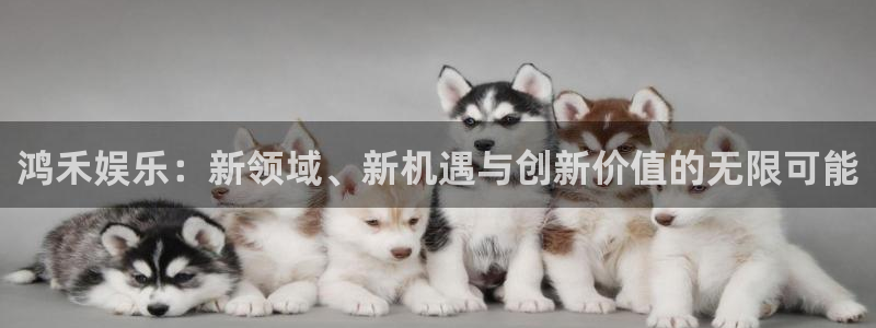 mg游戏不朽情缘在线：鸿禾娱乐：新领域、新机遇与创新价值的无限可能