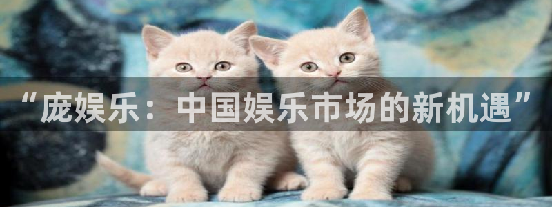 mg电子不朽情缘：“庞娱乐：中国娱乐市场的新机遇”