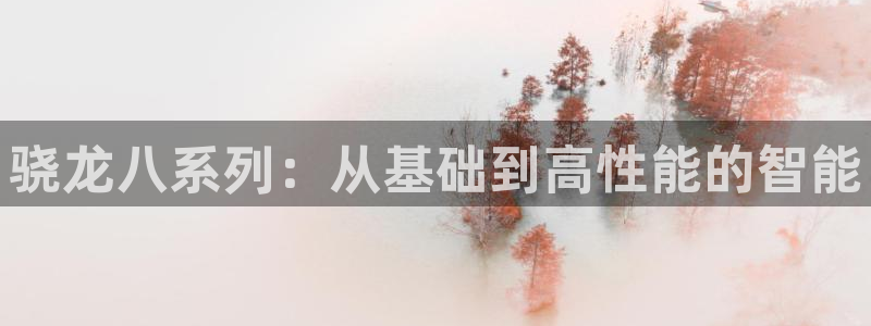 mg不朽情缘五滴血：骁龙八系列：从基础到高性能的智能