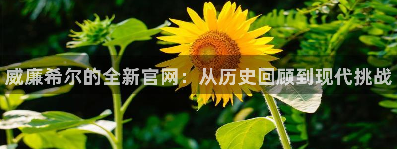 mg不朽情缘官网：威廉希尔的全新官网：从历史回顾到现代挑战