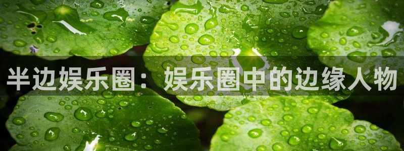 不朽情缘mg：半边娱乐圈：娱乐圈中的边缘人物