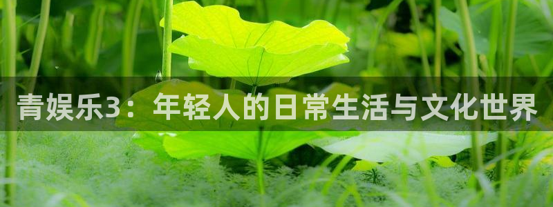 mg不朽情缘滴血：青娱乐3：年轻人的日常生活与文化世界