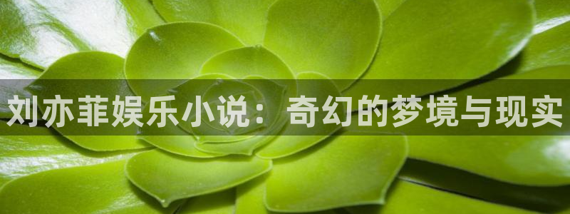 mg不朽情缘稳赢：刘亦菲娱乐小说：奇幻的梦境与现实