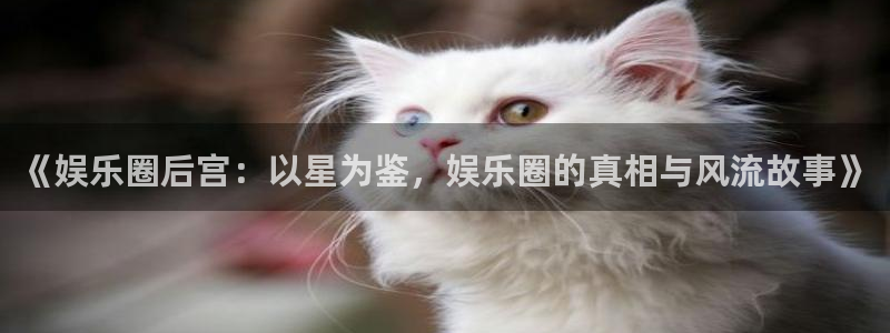 不朽情缘五滴血：《娱乐圈后宫：以星为鉴，娱乐圈的真相与风流故事》