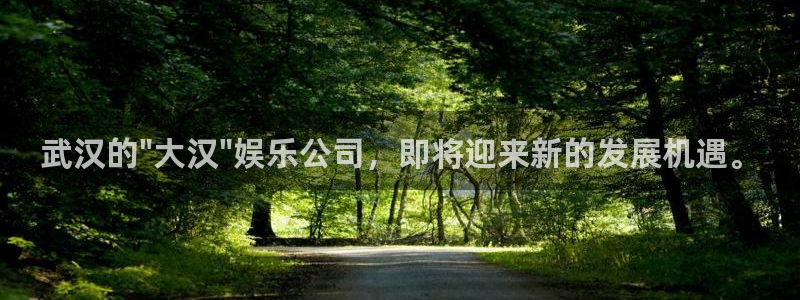 mg不朽情缘玩法：武汉的\