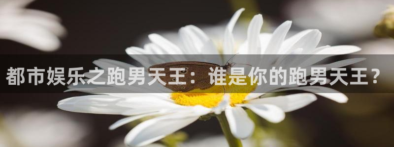 mg不朽情缘手机游戏：都市娱乐之跑男天王：谁是你的跑男天王？