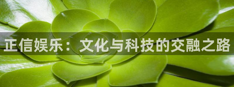 mg电子不朽情缘：正信娱乐：文化与科技的交融之路