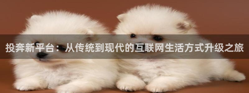 mg不朽情缘元爆万：投奔新平台：从传统到现代的互联网生活方式升级之旅