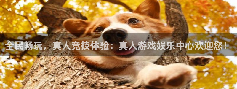 mg不朽情缘五滴血：全民畅玩，真人竞技体验：真人游戏娱乐中心欢迎您！