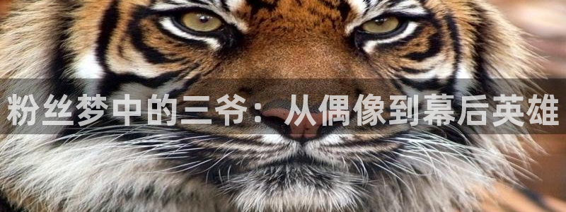 mg不朽情缘官网：粉丝梦中的三爷：从偶像到幕后英雄