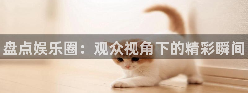 mg不朽情缘怎么下载：盘点娱乐圈：观众视角下的精彩瞬间