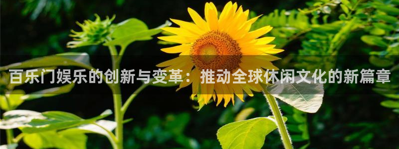 mg不朽情缘炸：百乐门娱乐的创新与变革：推动全球休闲文化的新篇章