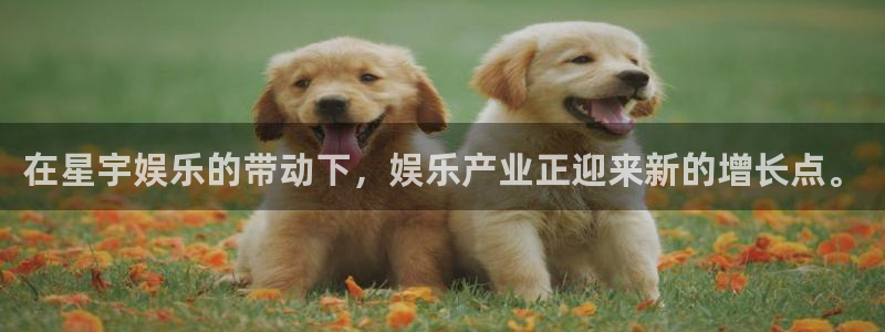 mg游戏不朽情缘：在星宇娱乐的带动下，娱乐产业正迎来新的增长点。