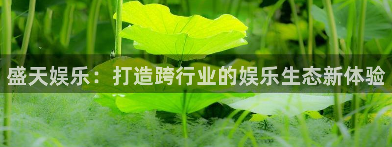mg电子不朽情缘：盛天娱乐：打造跨行业的娱乐生态新体验