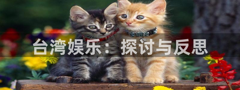 mg不朽情缘滴血：台湾娱乐：探讨与反思
