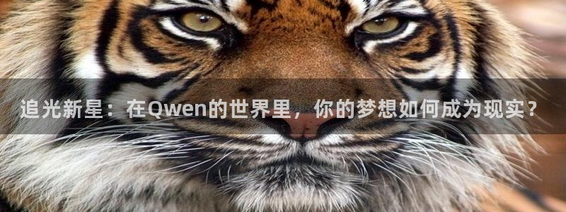 mg不朽情缘：追光新星：在Qwen的世界里，你的梦想如何成为现实？