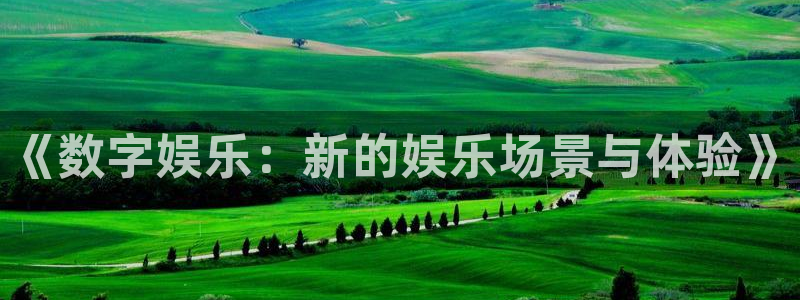 mg不朽情缘官网：《数字娱乐：新的娱乐场景与体验》